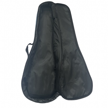 guitar bag