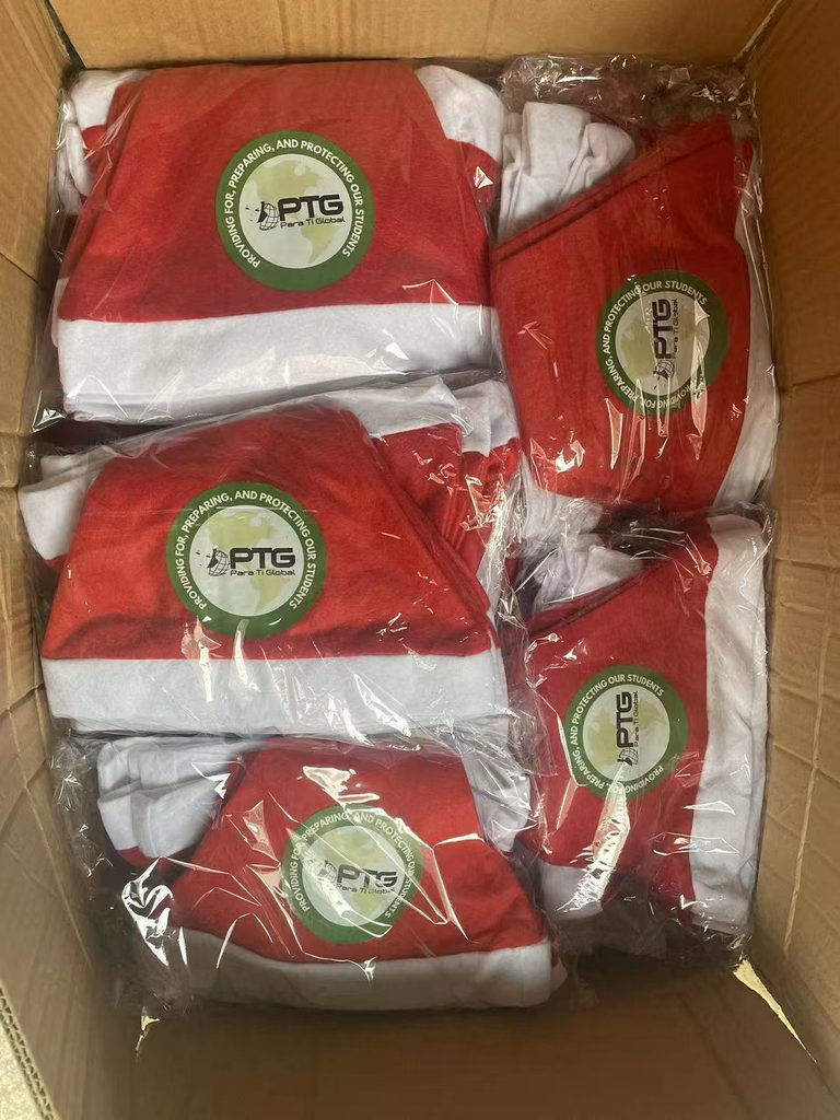 Bulk custom red Santa hats with customer PTG logo printed, packed in OPP bags and carton for fast Q4 shipping